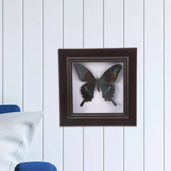 Имитированный образец бабочки Ручной работы, редкие и изысканные образцы, декор, висящий на стене, образец для образовательной коллекции Rese Изображение 2