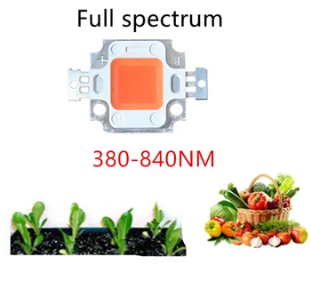 Светодиодный чип Grow Light мощностью 10 Вт, Розовая лампа для растений полного спектра, Диоды для освещения роста для цветения сада, Система гидропоники 9-12 В 900 мА